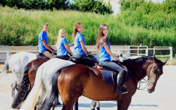 Конно-спортивный комплекс «Centaur» - Запорожье, Конная групповая экскурсия, Конный спорт, Уроки верховой езды