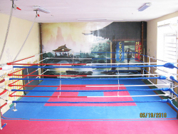 Клуб таиландского бокса Кросс - Запорожье, Тайский бокс